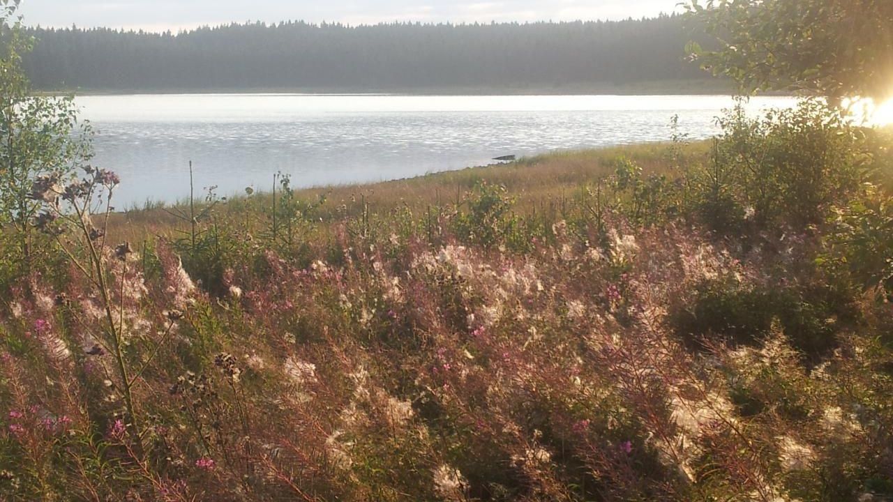 Herbst an der Talsperre Carlsfeld Herbst an der Talsperre Carlsfeld